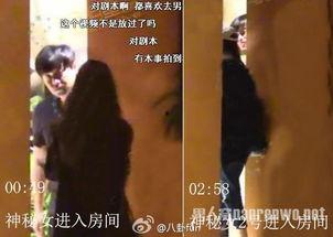 娱乐圈吃瓜爆料陈思诚,揭秘背后的真相与争议